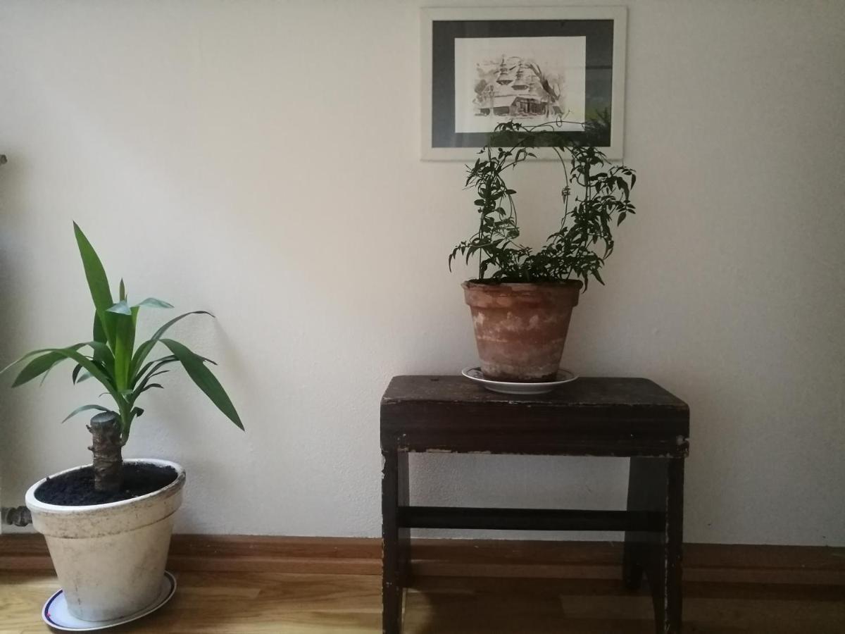Green Vagon, Farm B&B Rooms For Rent Hjørring Exteriör bild